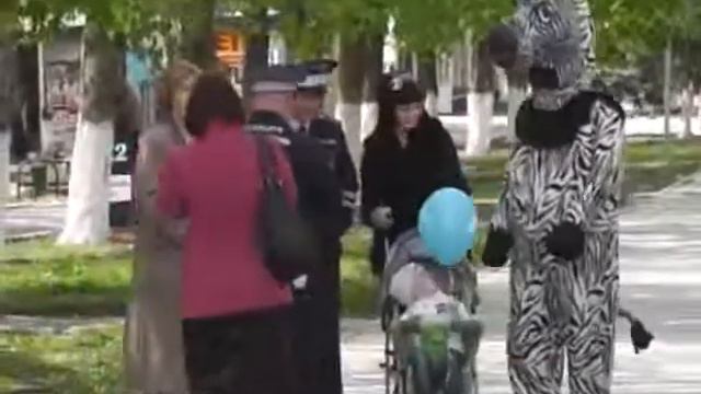 Акция Зебра (г. Зерноград) смотреть онлайн