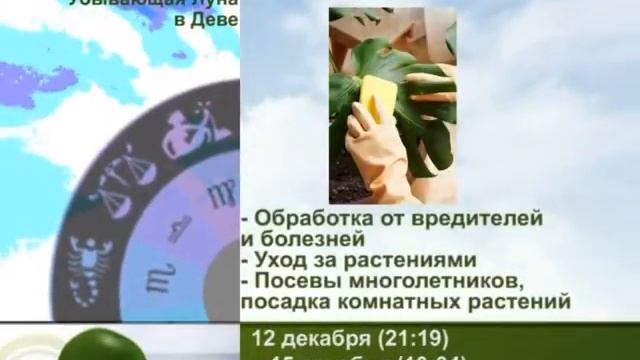 «Зеленый календарь» с 15 по 22 декабря 2014 смотреть онлайн