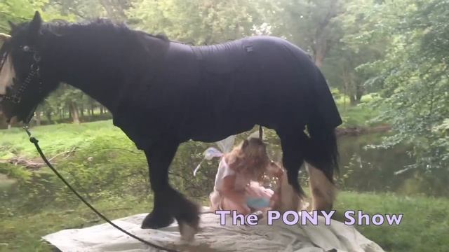 Unicorn Steps On Fairy! Wear A Helmet!, @theponyshow #horse #helmet #horses #horsegirl