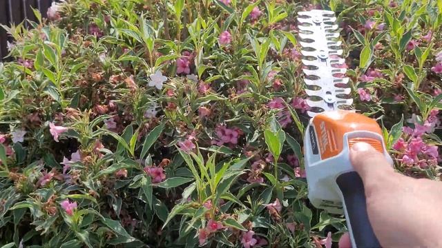 САДОВЫЕ АККУМУЛЯТОРНЫЕ НОЖНИЦЫ STIHL HSA 26 смотреть онлайн