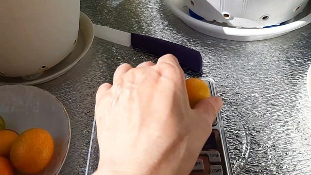 Кумкват Маргарита Биг . Дегустация и сравнение с кумкватом Мейва. смотреть онлайн
