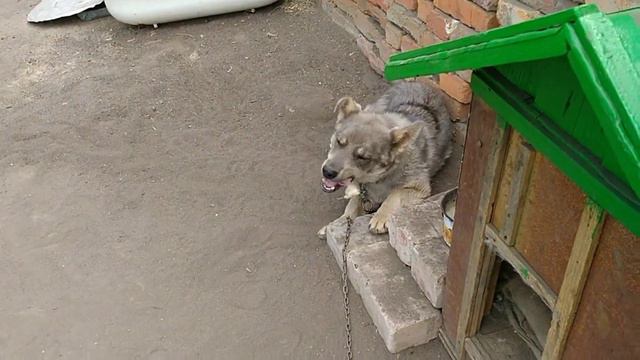 Повседневные будни. Работы не початый край. смотреть онлайн