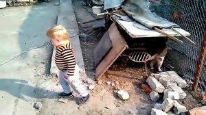 Пинаем кошку