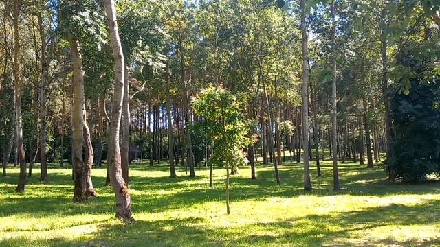 ЛЕТО 2022! ЦНЯНСКОЕ ВОДОХРАНИЛИЩЕ! ЧАСТЬ 1! SUMMER 2022! TSNYANSK RESERVOIR! PART 1! смотреть онлайн