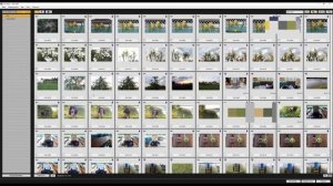Как перенести фотографии с фотоаппарата на компьютер