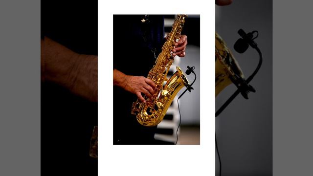 Ave Maria Opus 52 n.6 (Schubert)par Michel Duchesne , Saxophone Alto. смотреть онлайн