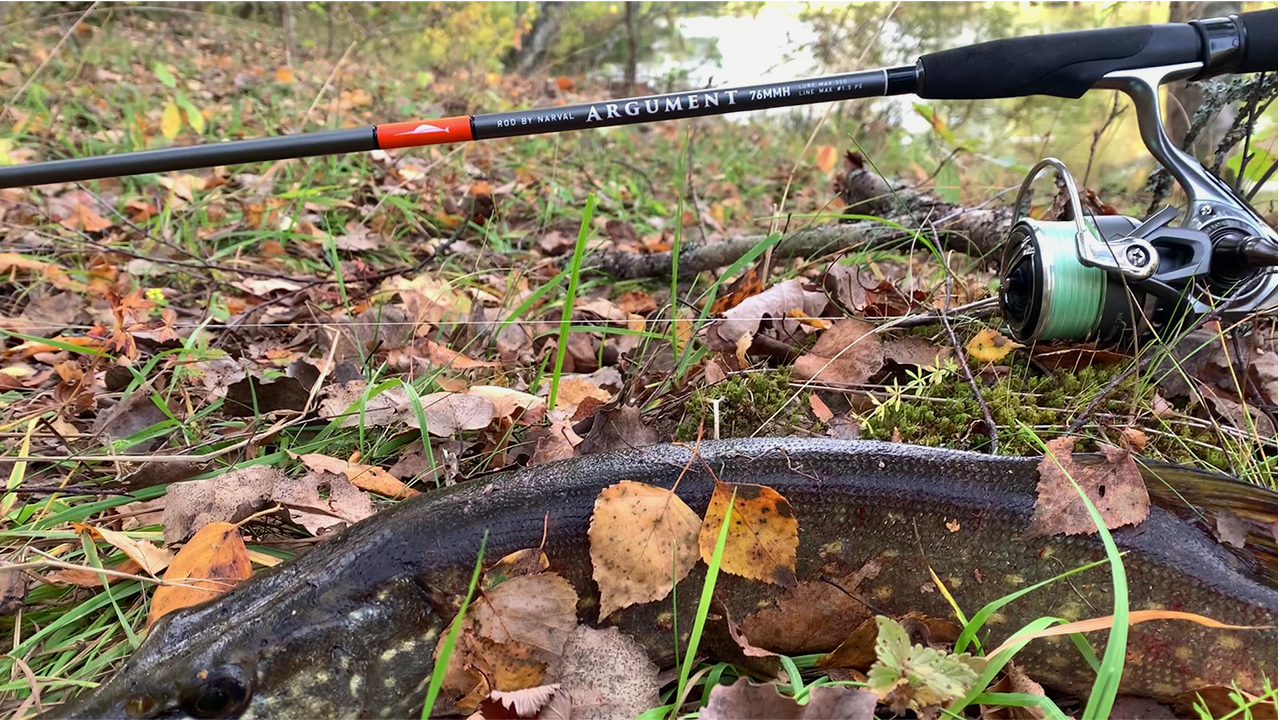 Жор щуки на Сказочном пруду! Рыбалка на спиннинг смотреть онлайн