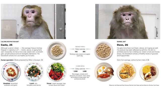 Старение как болезнь. Можно ли вылечить старость? смотреть онлайн