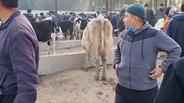 ОЛА ПОРОДАЛАР ЁЗЁВОН МОЛ БОЗОРИ смотреть онлайн