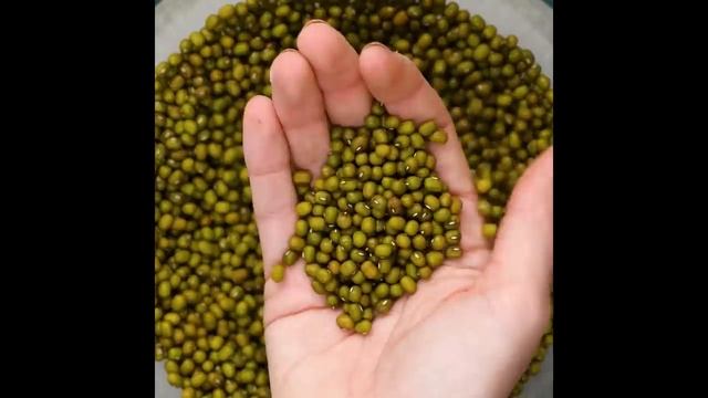 How to Replant Vegetables! | Gardening Hacks and Tips by Blossom смотреть онлайн
