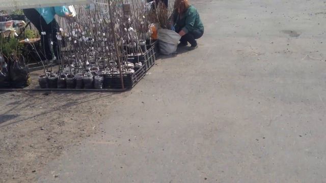 Открылась ДАЧНАЯ ЯРМАРКА в Северодвинске на Вертолетке смотреть онлайн