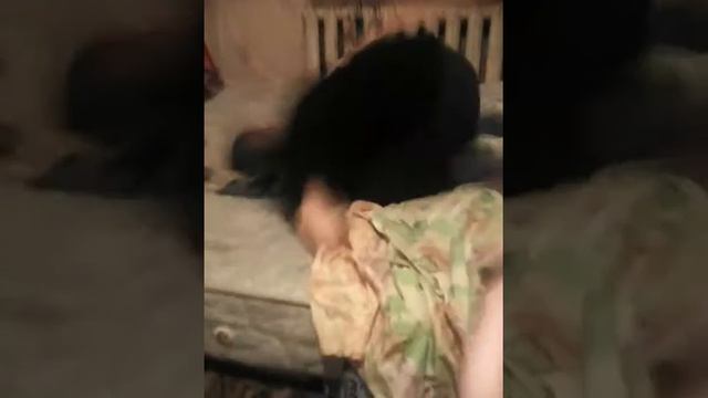 Новые духи. Медведь и человек - паук. Ванючие подмышки. смотреть онлайн