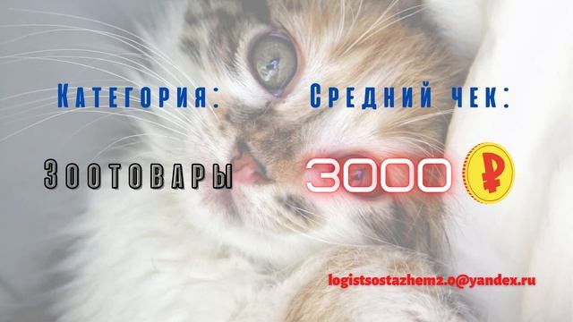 Какой средний чек в разных категориях интернет-заказов? смотреть онлайн