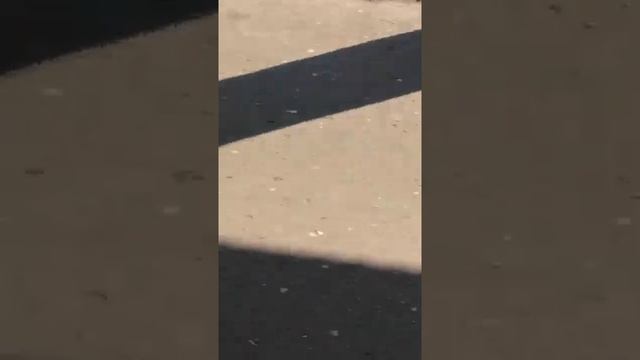 Беспредел сотрудников полиции и их начальства Г Новозыбков