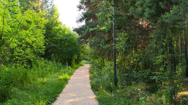 Затюменский парк смотреть онлайн