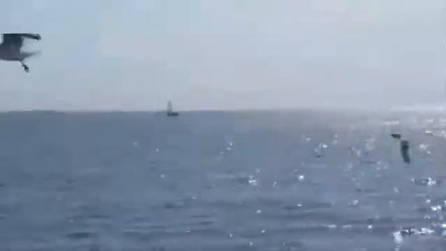 Песня "Морское путешествие" 2 куплета (минус) смотреть онлайн