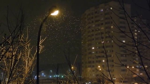 DSCN3515 14 12 2016 Г ВАЛЬС СНЕЖИНОК ... смотреть онлайн