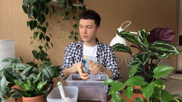 Мой Идеальный Грунт для Комнатных Растений » Рецепт Универсального Грунта смотреть онлайн