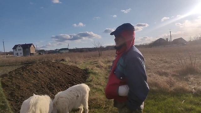 День Рождения Миши. смотреть онлайн