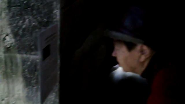 Сурикаты в Экзопарке Рио смотреть онлайн