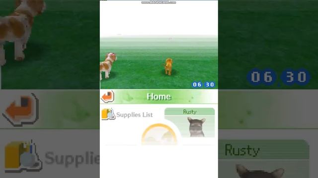 Nintendogs: Best Friends Part 2 смотреть онлайн