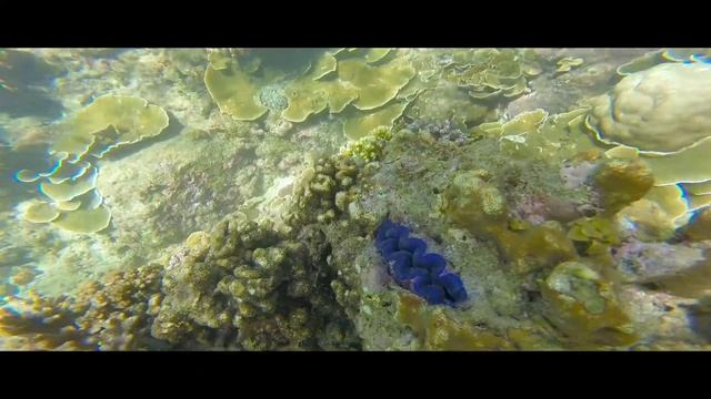Ao Sane Beach.Подводный мир.Намочил камеру.Тайланд.Пхукет смотреть онлайн