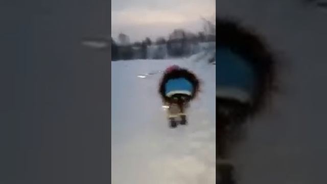 Кот когда он хочет на улицу смотреть онлайн