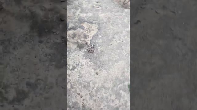 Замена фильтра салона ВАЗ 2111 2005 года выпуска смотреть онлайн