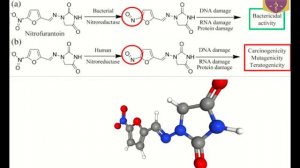 Синтез и хим свойства фуразолидона, нитрофурантоин (фурадонин), фуразидин (фурагин) л 8 ч 2