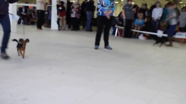 Сравнение на ЛК смотреть онлайн