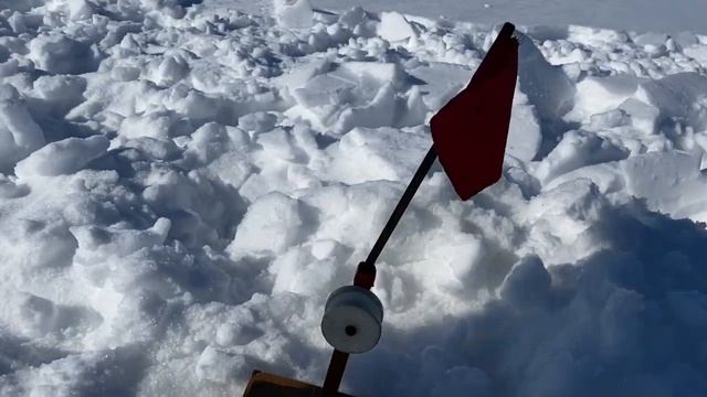 Рыбалка с мотобуксировщиком IKUDZO (ИКУДЗО)