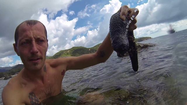 квази-овощ морской огурец смотреть онлайн