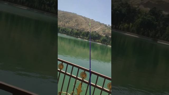 Красивый звон колокольчиков на рыбалке / Таджикистан смотреть онлайн