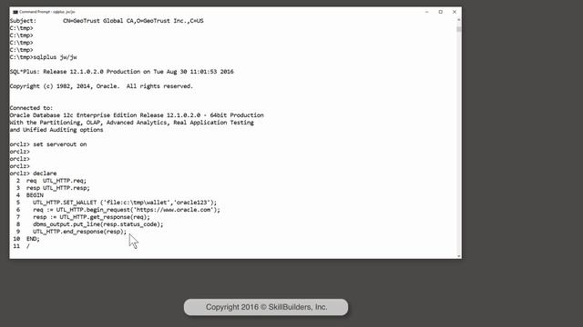 How to Get Secure Web Services (SSL/HTTPS) and Oracle APEX Working - 4 of 4 смотреть онлайн