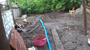 насос фекальный  с измельчителем и поплавковым выключателем,первый опыт!