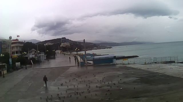 Вебкамера "Морвокзал". Запись 01.02.2016 12:20:01 смотреть онлайн