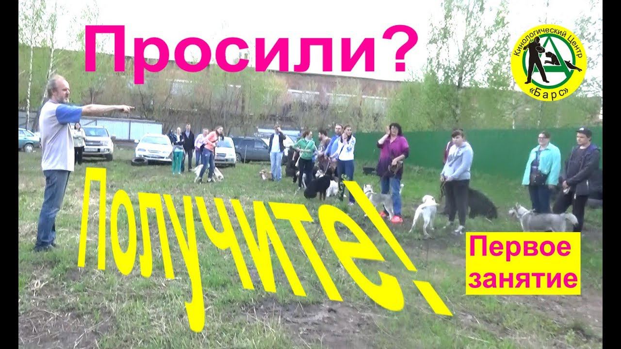 Первое занятие Кинологический центр Барс Дрессировка собак в Новосибирске смотреть онлайн