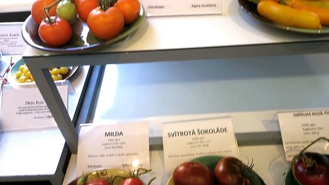 ЛУЧШИЕ ТОМАТЫ! / ВЫСТАВКА ТОМАТОВ / Коллекционеры Латвии смотреть онлайн