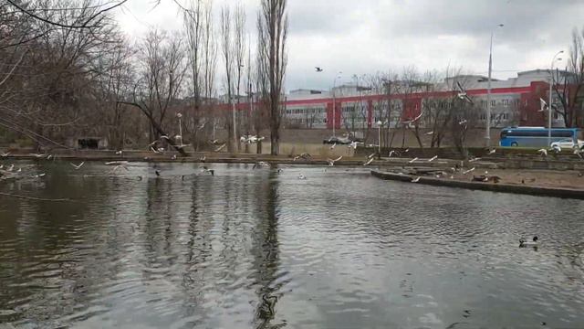 Социальный ролик "Жизнь идет своим чередом" смотреть онлайн