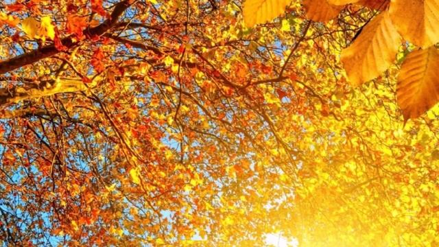 ?? ? Moon TANGO ?? ? смотреть онлайн