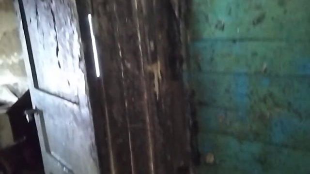 Обретение иконы Пресвятой Богородицы Неопалимая Купина. / Семья Толмачёвых. смотреть онлайн
