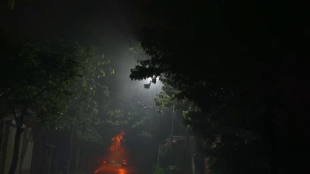 Sleep Instantly with Heavy Rainstorm & Powerful Thunder Sounds Covering the Rainforest Park at Nigh смотреть онлайн