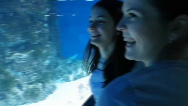 Москвариум. Обзор. Ты такого не видел! смотреть онлайн