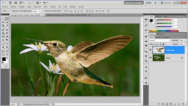 Qué son las capas en photoshop - curso de Photoshop cs5 смотреть онлайн