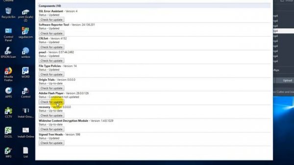 Flash Player Error : Please enable your Flash player on your browser For Chrome Browser (100% Work)