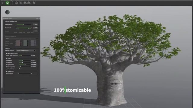 PlantCatalog: 3D African continental baobab - Adansonia digitata - procedural 3D vegetation смотреть онлайн