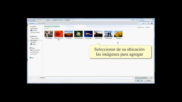 Agregar fotos en galería de plugins NextGEN Gallery смотреть онлайн