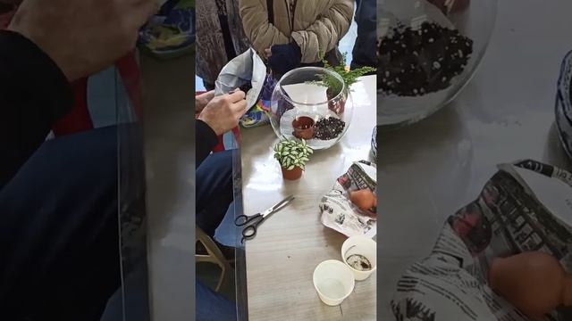 Фиалка в аквариуме?? Супер лекция и мастер-класс от Игоря Милехина! Мои покупки в Доме фиалки смотреть онлайн