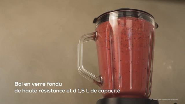 Mixeurs / Blender Power Black Titanium 1200 Inox смотреть онлайн