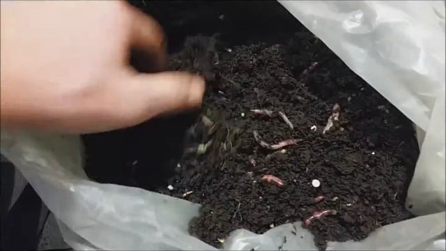 разведение червей в мешках часть 2 смотреть онлайн